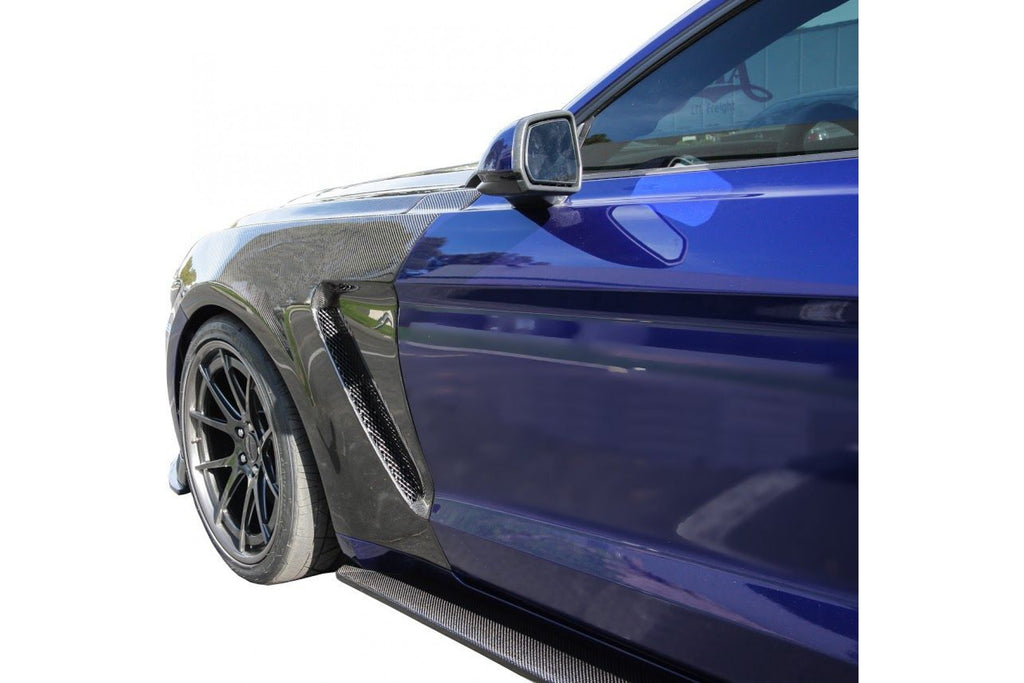 Anderson Composites Carbon Kotflügel für Ford Mustang GT350