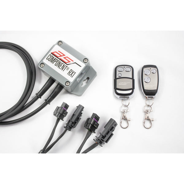 ASR Klappensteuerung RX1 BMW (BE2) valve flap control