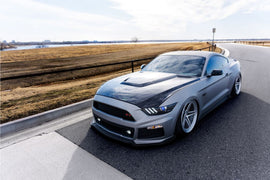 Anderson Composites GFK Motorhaube für Ford Mustang - GT350