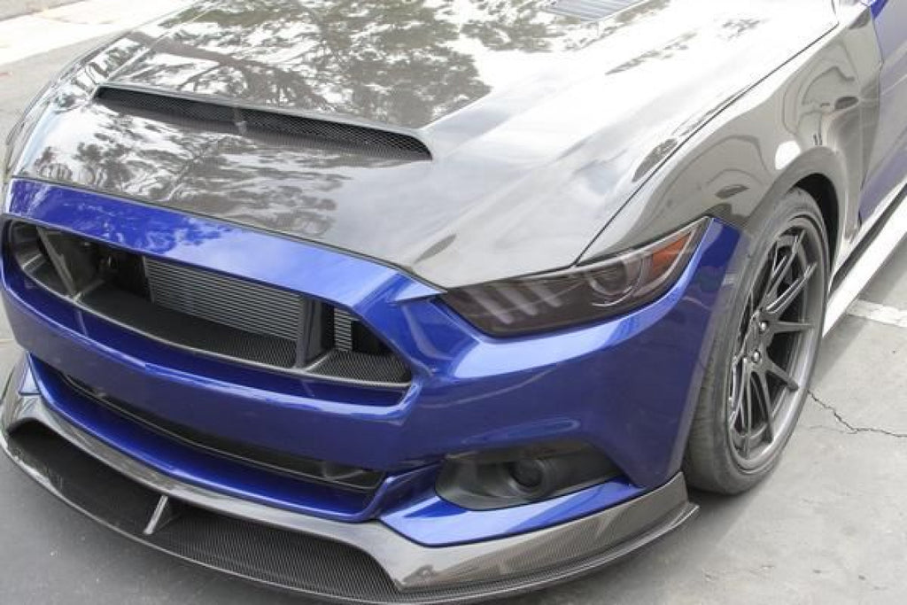 Anderson Composites Carbon Motorhaube doppelseitig für Ford Mustang 2015-2017 SUPER SNAKE
